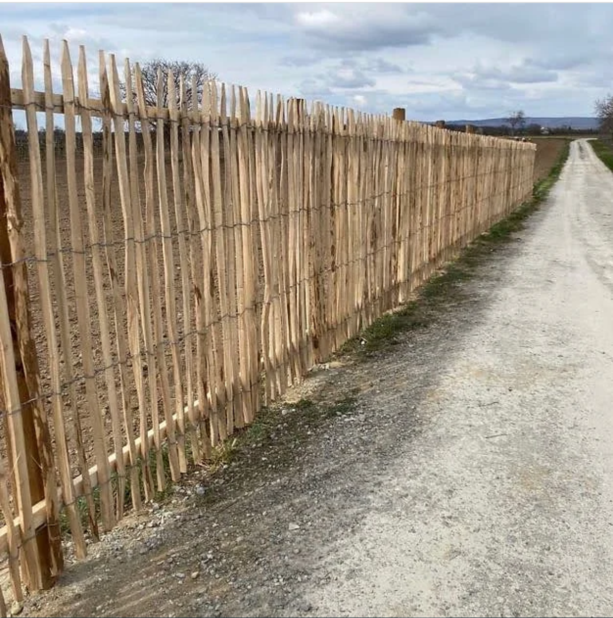 Staketenzaun aus Haselnuss – 150 cm Höhe, Lattenabstand 3–5 cm, 5 lfm Rolle